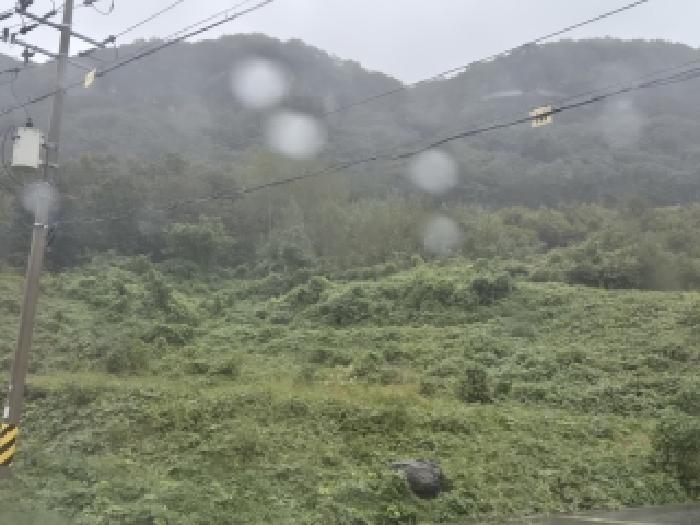 전남 화순군 동면 과수원 경매 물건 사진