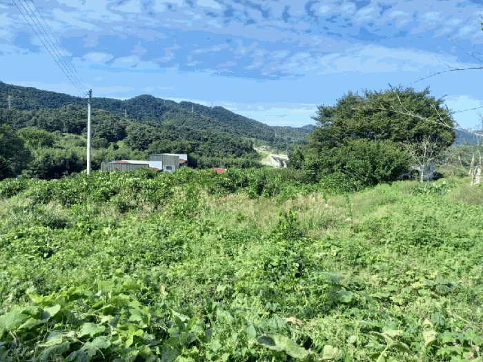 전남 장성군 남면 전 경매 물건 사진 6 · 2025타경33901