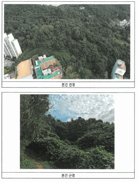 광주 남구 진월동 임야 경매 물건 사진 6 · 2025타경33921