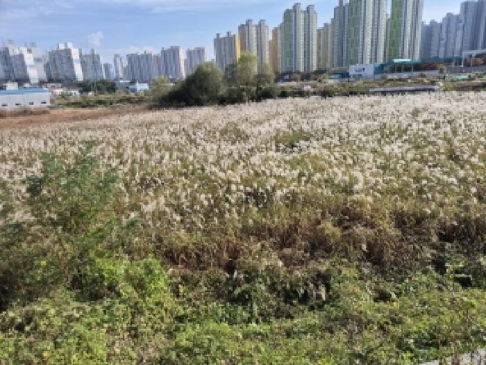 광주 북구 신용동 답 경매 물건 사진