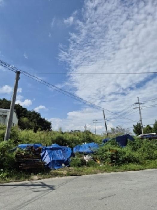 전남 곡성군 입면 잡종지 경매 물건 사진