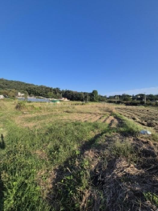 광주 북구 삼각동 답 경매 물건 사진 3 · 2025타경34109