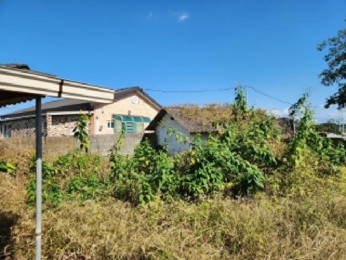 전남 나주시 반남면 임야 경매 물건 사진 6 · 2025타경34142