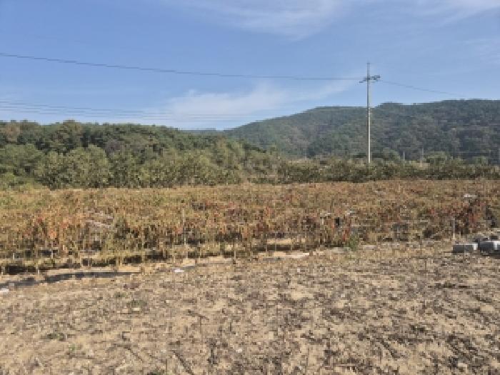 전남 장성군 삼서면 공장/지식산업센터 경매 물건 사진