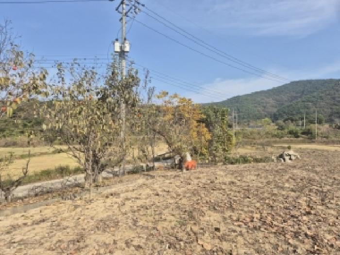 전남 장성군 삼서면 공장/지식산업센터 경매 물건 사진 4 · 2025타경34166