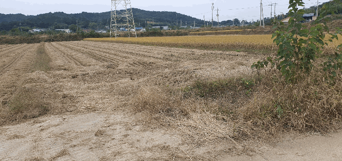 전남 나주시 동강면 답 경매 물건 사진 5 · 2025타경34184