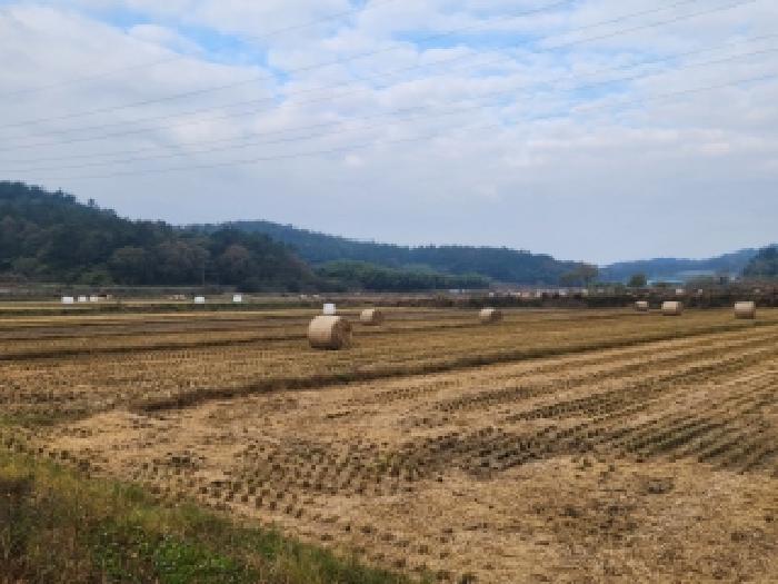 전남 나주시 동강면 답 경매 물건 사진