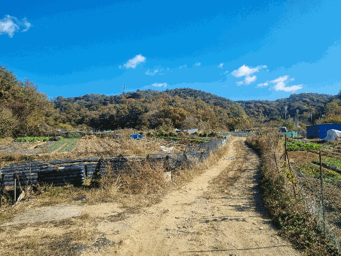 광주 북구 일곡동 전 경매 물건 사진 5 · 2025타경34259