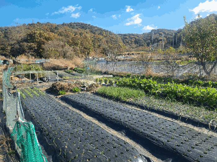 광주 북구 일곡동 전 경매 물건 사진 6 · 2025타경34259