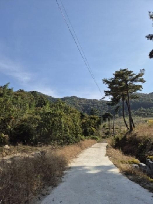 전남 담양군 고서면 과수원 경매 물건 사진