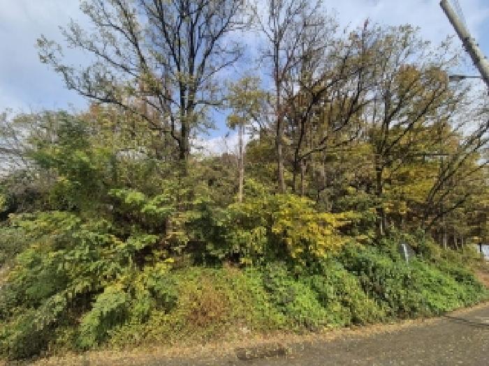 광주 광산구 신창동 임야 경매 물건 사진