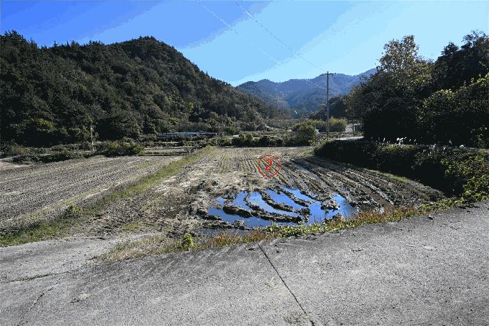전남 화순군 춘양면 답 경매 물건 사진 6 · 2025타경34317