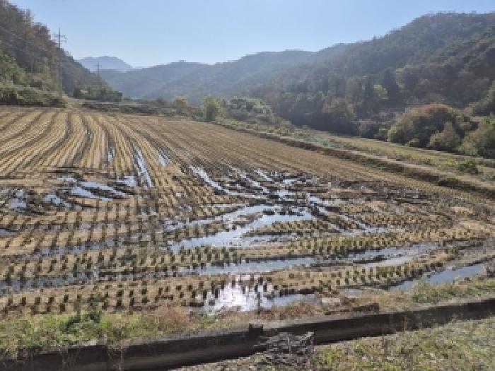 전남 화순군 동면 전답 경매 물건 사진 5 · 2025타경34356