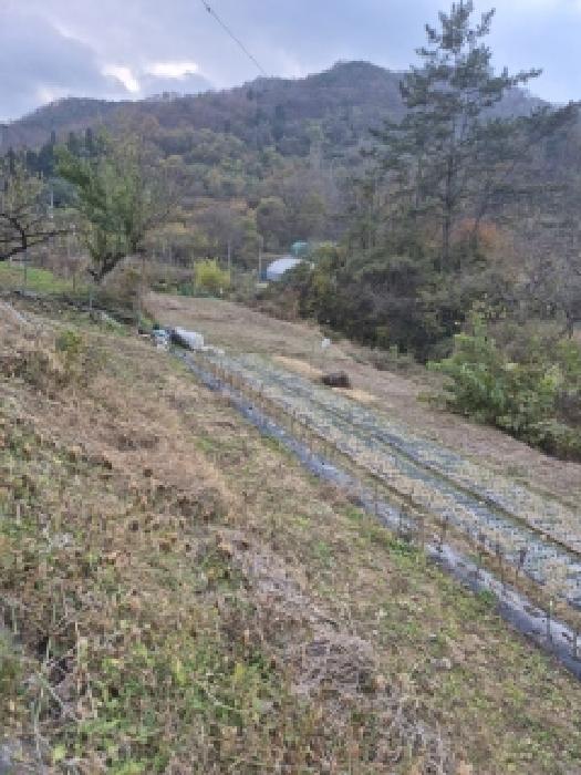 전남 화순군 동면 전답 경매 물건 사진
