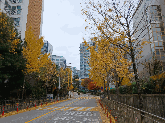 광주 광산구 신가동 아파트 경매 물건 사진 3 · 2025타경34364