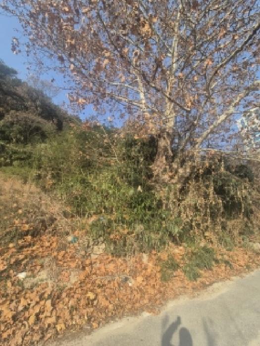 광주 광산구 신창동 임야 경매 물건 사진 2 · 2025타경34389