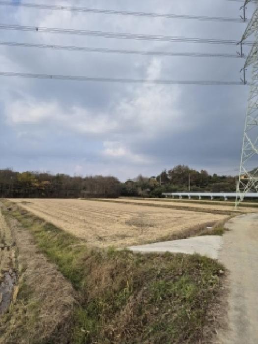전남 담양군 고서면 답 경매 물건 사진 2 · 2025타경34391