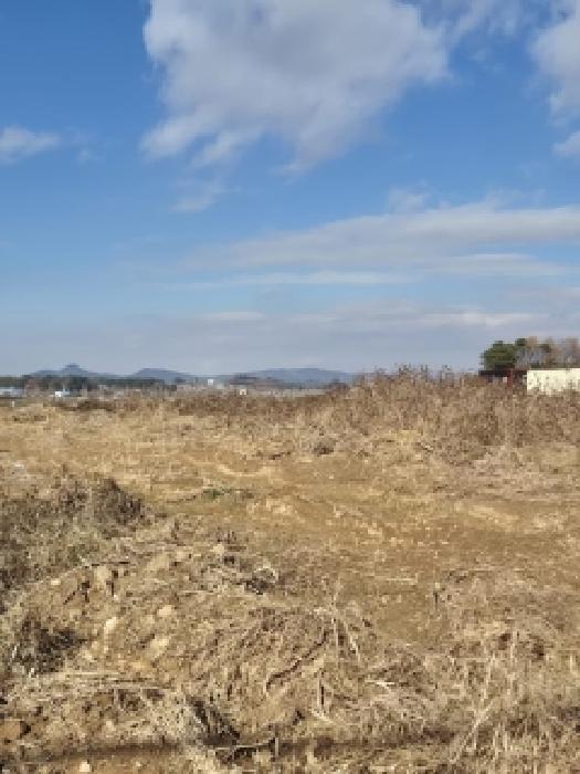 전남 영광군 영광읍 전답 경매 물건 사진