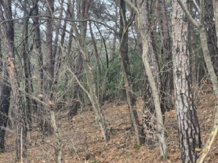 전남 장성군 서삼면 임야 경매 물건 사진 2 · 2025타경34489