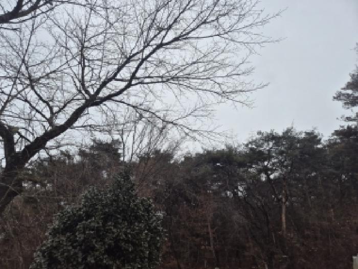 전남 장성군 서삼면 임야 경매 물건 사진 3 · 2025타경34489