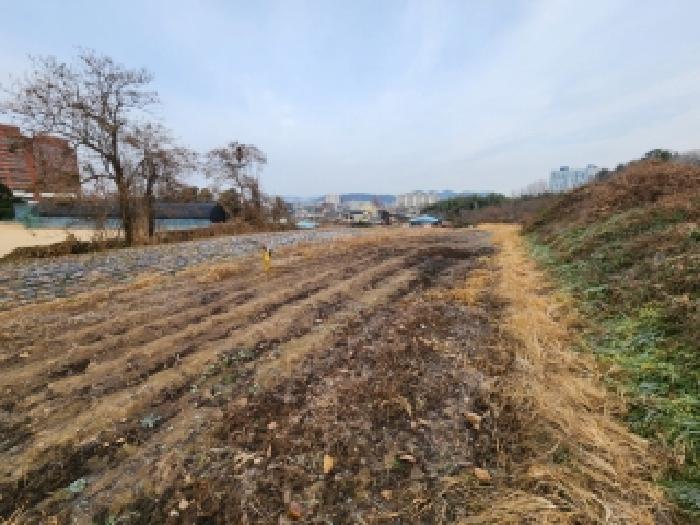 전남 나주시 남평읍 전 경매 물건 사진 3 · 2025타경34493