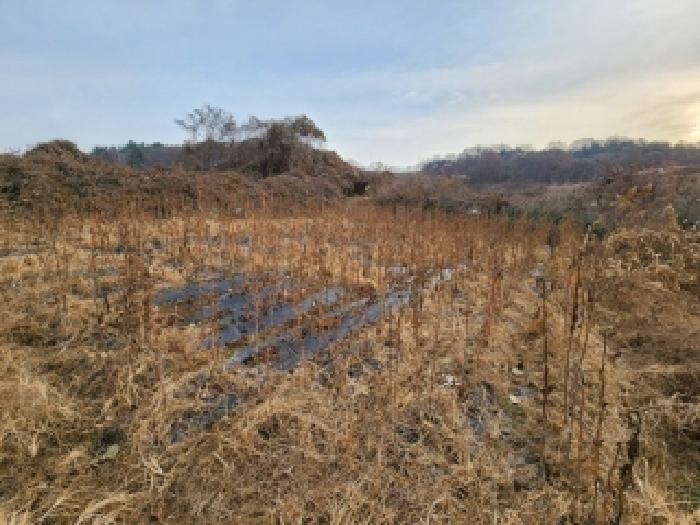 전남 나주시 남평읍 전 경매 물건 사진