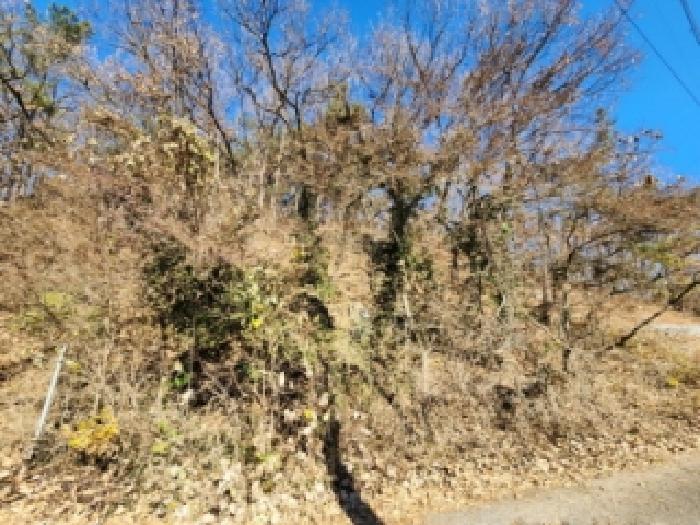 광주 북구 두암동 전 경매 물건 사진 2 · 2025타경34496