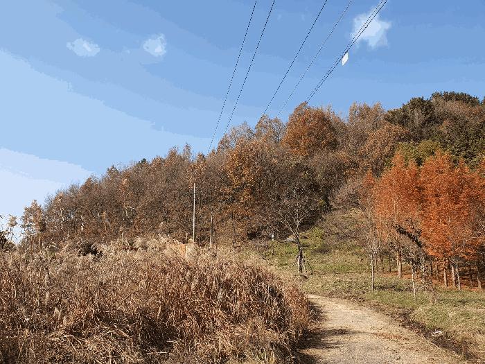 광주 북구 두암동 전 경매 물건 사진