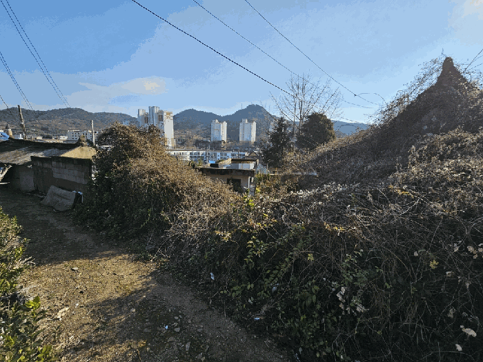 전라남도 영광군 영광읍 남천리 25-11 대지 경매 물건 사진