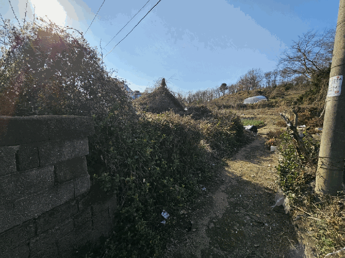 전남 영광군 영광읍 대지 경매 물건 사진 5 · 2025타경34590