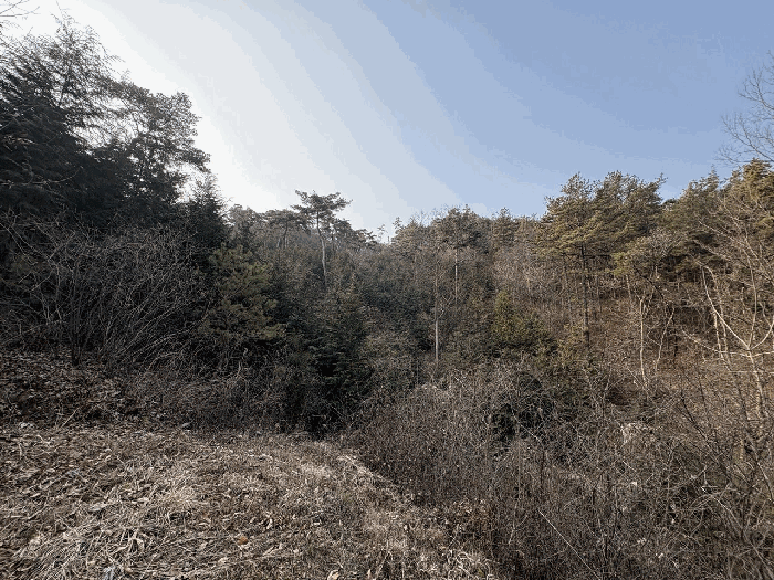 전라남도 곡성군 삼기면 월경리 산11 임야 경매 물건 사진