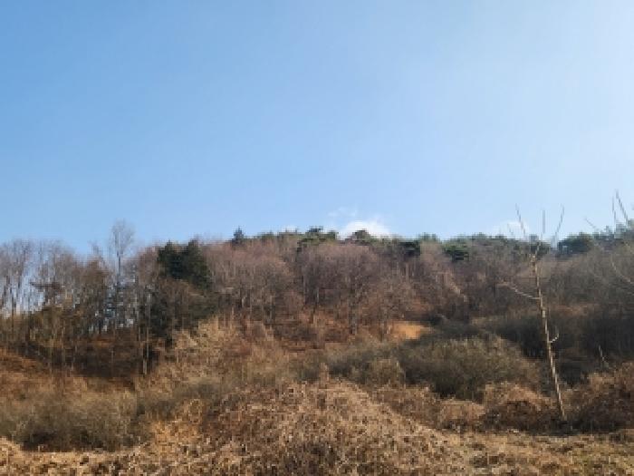 전남 곡성군 삼기면 도로 경매 물건 사진