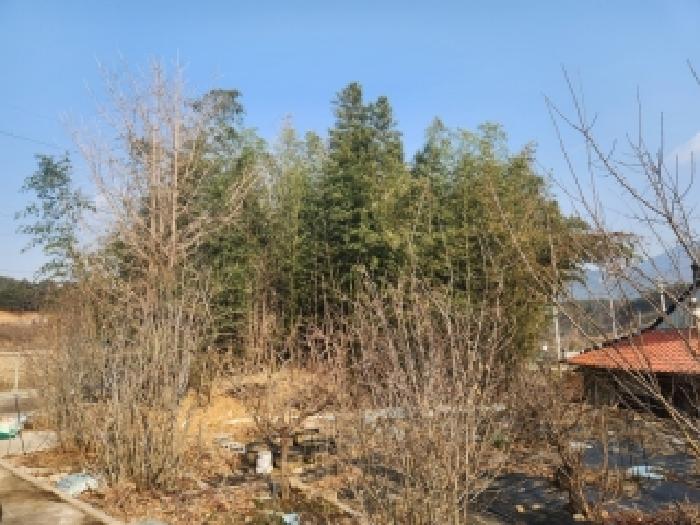 전남 곡성군 삼기면 도로 경매 물건 사진 5 · 2025타경34601