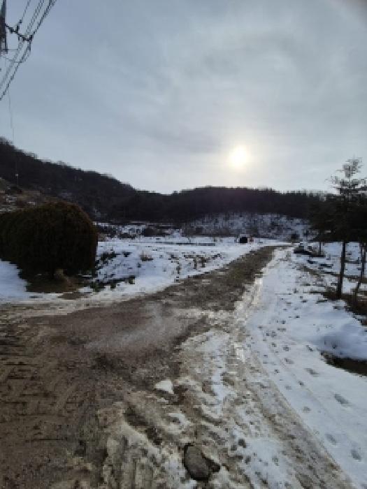 전남 영광군 불갑면 임야 경매 물건 사진