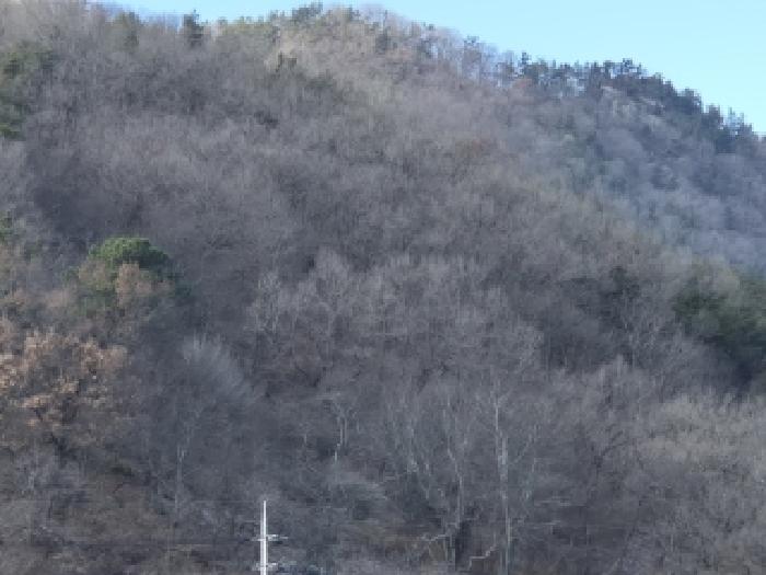 전남 화순군 도곡면 임야 경매 물건 사진