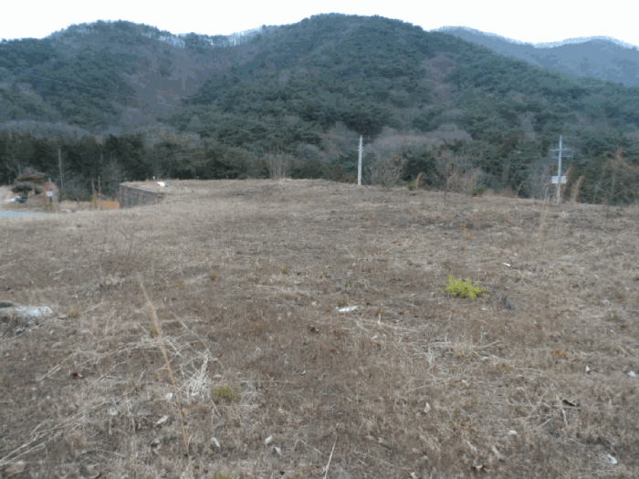 전남 담양군 대덕면 임야 경매 물건 사진 5 · 2025타경34633