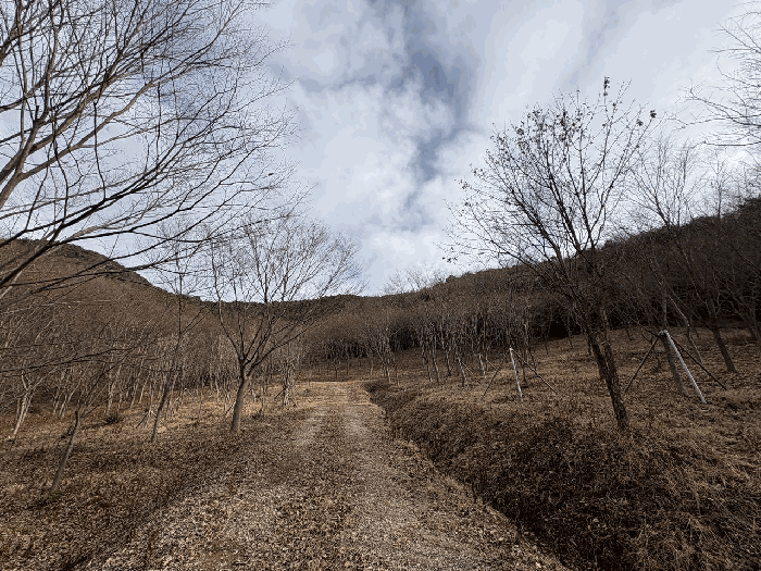 전남 담양군 금성면 임야 경매 물건 사진 5 · 2025타경34634