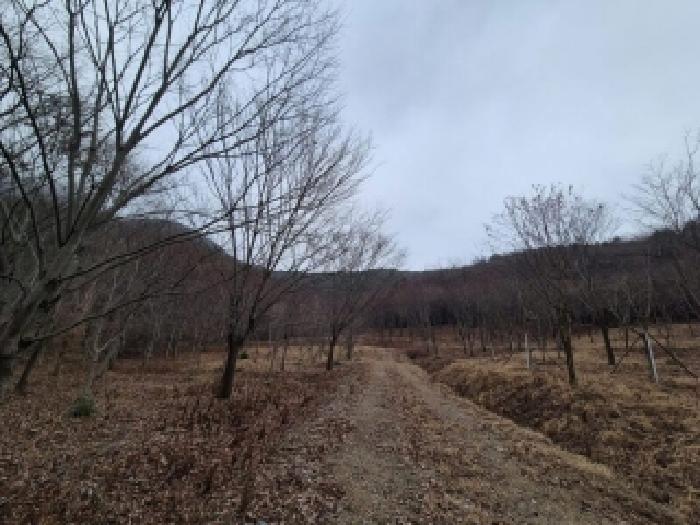 전남 담양군 금성면 임야 경매 물건 사진 2 · 2025타경34634