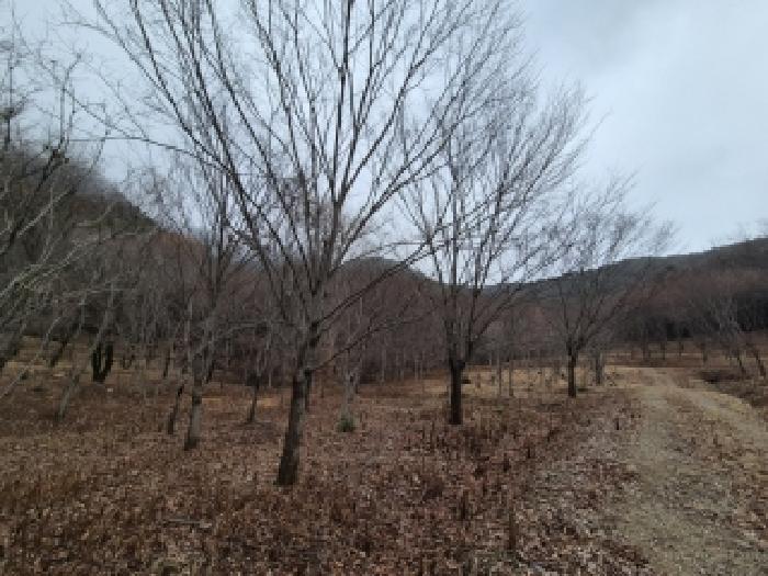 전남 담양군 금성면 임야 경매 물건 사진 3 · 2025타경34634