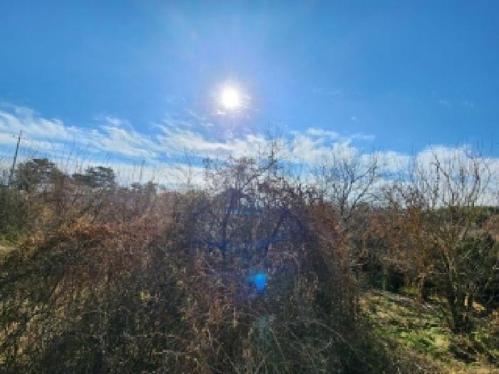 전남 나주시 산포면 임야 경매 물건 사진