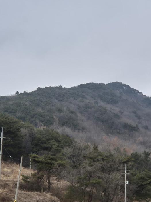 전남 장성군 삼계면 임야 경매 물건 사진