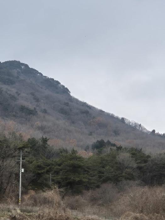 전남 장성군 삼계면 임야 경매 물건 사진 2 · 2025타경34699