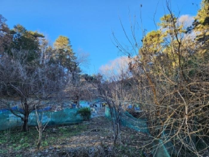 광주 남구 봉선동 유지 경매 물건 사진 2 · 2025타경34701