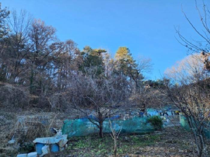 광주 남구 봉선동 유지 경매 물건 사진 3 · 2025타경34701