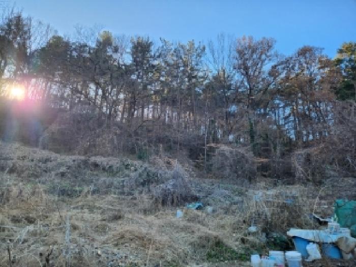 광주 남구 봉선동 유지 경매 물건 사진 4 · 2025타경34701