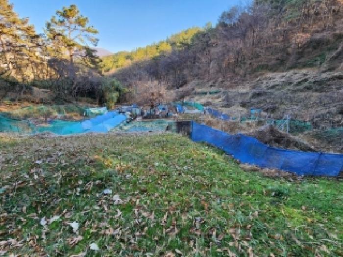 광주 남구 봉선동 유지 경매 물건 사진 6 · 2025타경34701