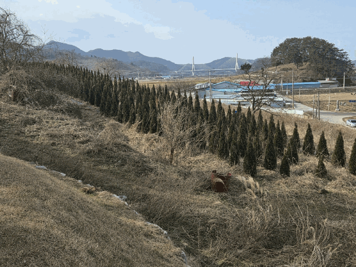 전라남도 영광군 법성면 법성리 1001 전 경매 물건 사진