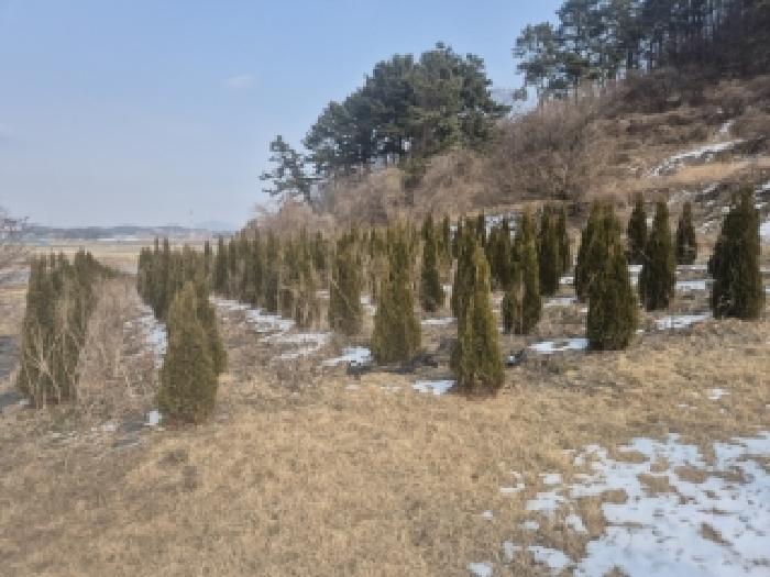 전남 영광군 법성면 전 경매 물건 사진