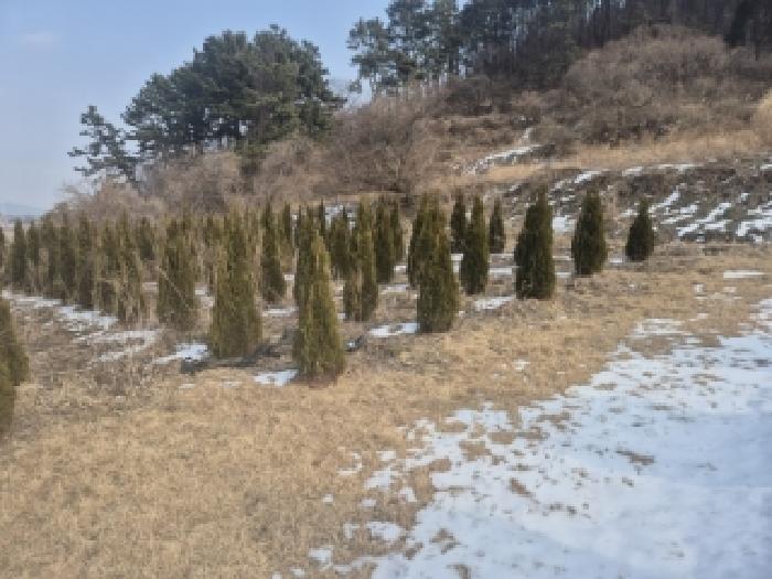 전남 영광군 법성면 전 경매 물건 사진 2 · 2025타경34710