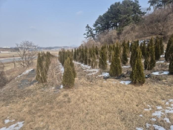 전남 영광군 법성면 전 경매 물건 사진 3 · 2025타경34710